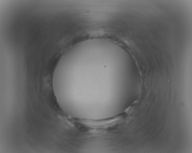 X0000081301445200702082032