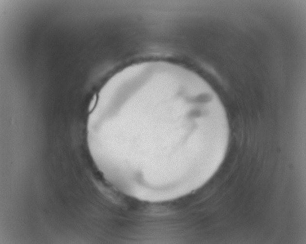 X0000081301448200702082032