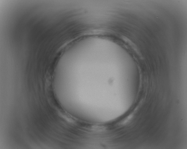 X0000081301449200702082032