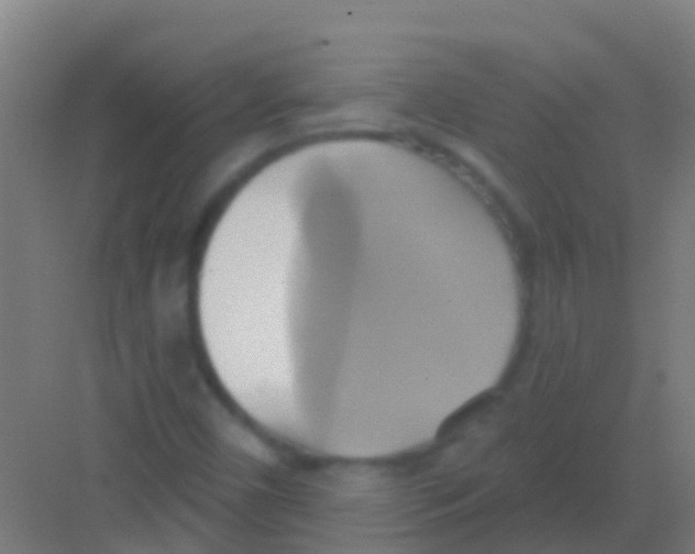 X0000081301450200702082032