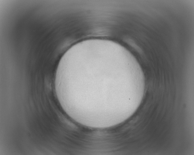 X0000081301451200702082032