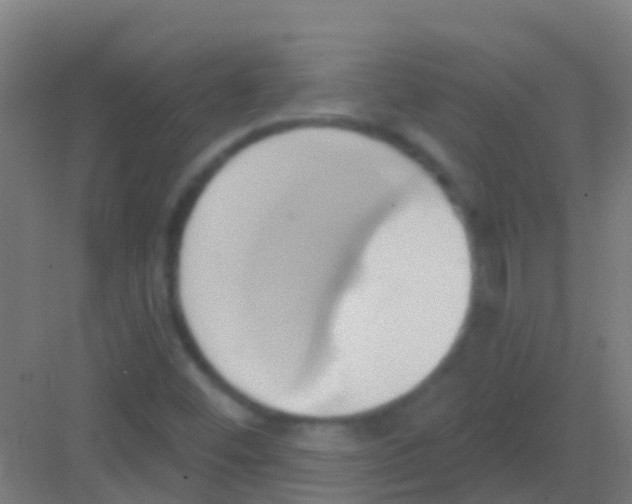 X0000081301452200702082032