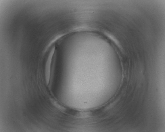 X0000081301453200702082032