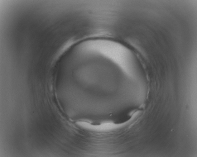 X0000081301455200702082032