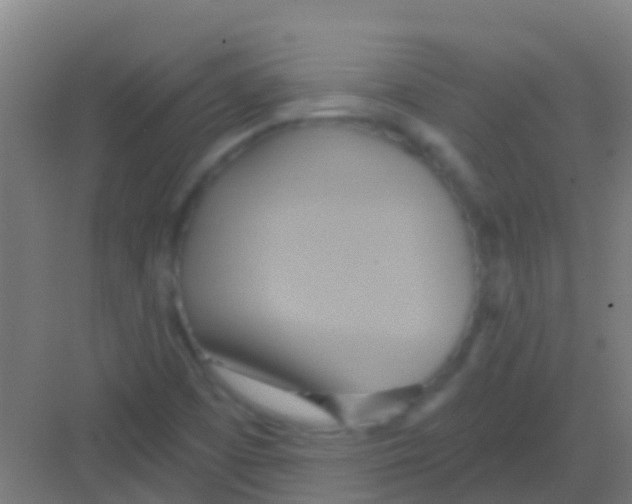 X0000081301457200702082032