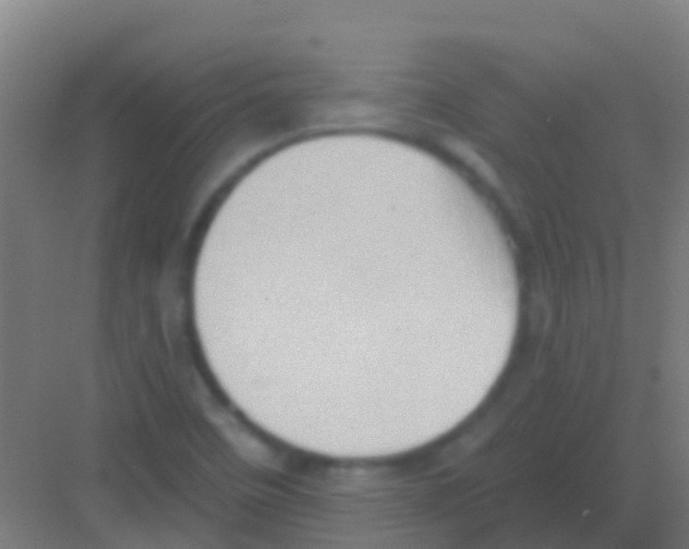 X0000081301458200702082032