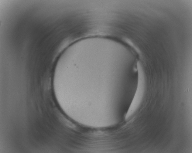 X0000081301459200702082032