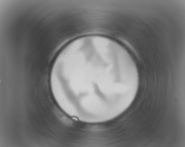 X0000081301460200702082032