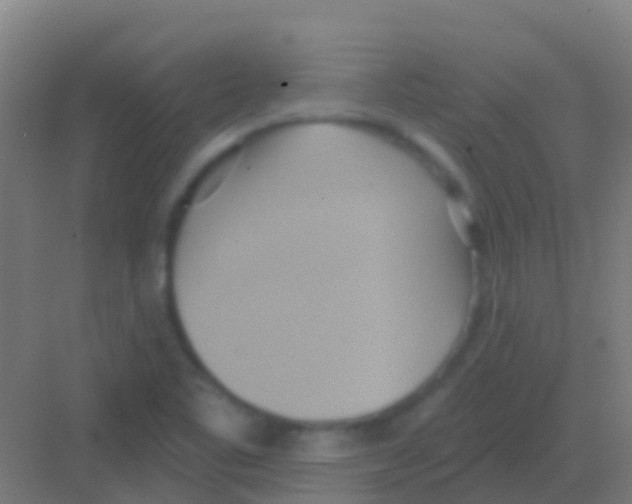 X0000081301461200702082032