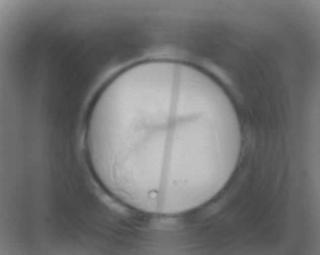 X0000081301462200702082032