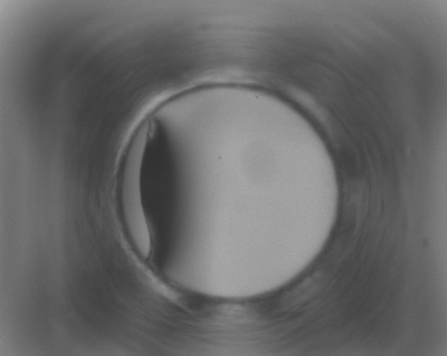 X0000081301463200702082032