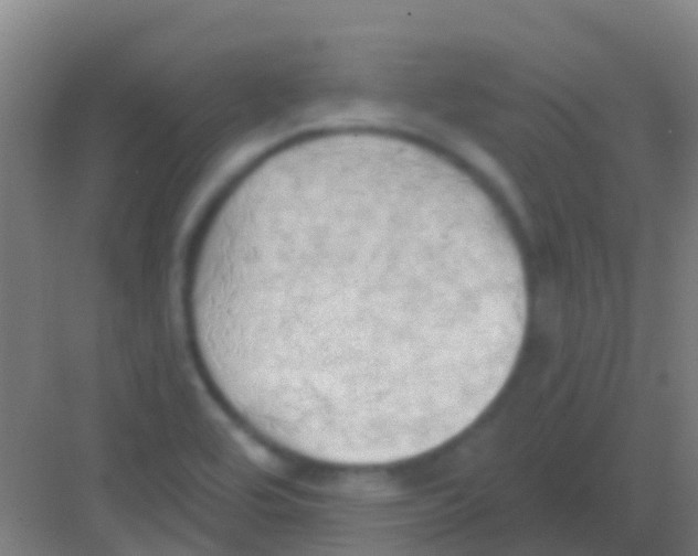 X0000081301464200702082032