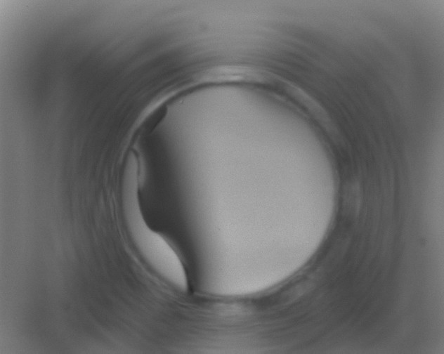 X0000081301465200702082032