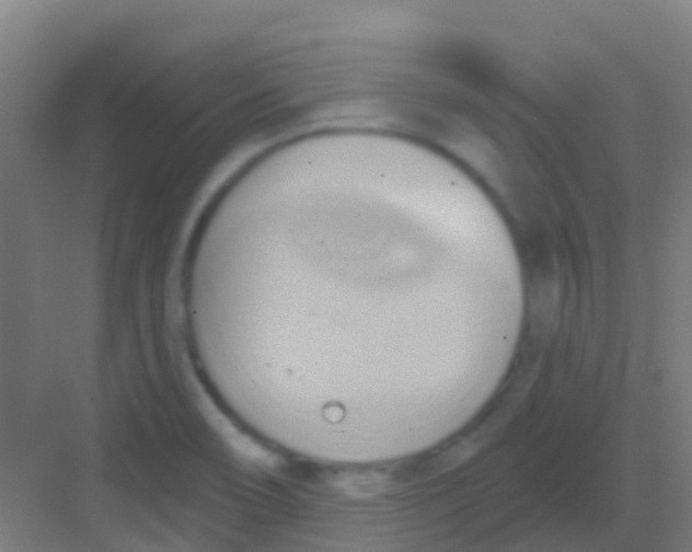 X0000081301466200702082032