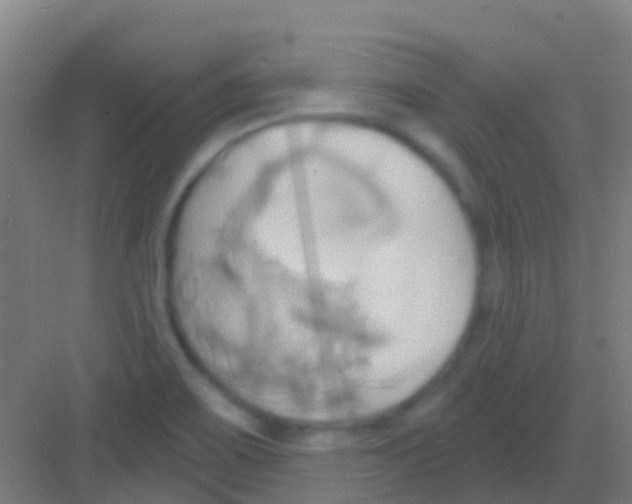 X0000081301467200702082032