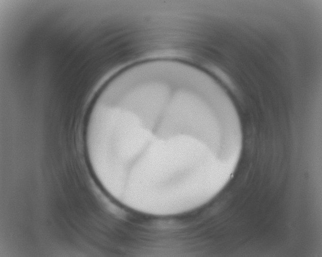 X0000081301468200702082032