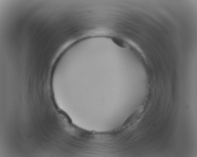 X0000081301469200702082032