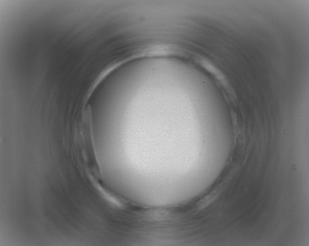 X0000081301473200702082032