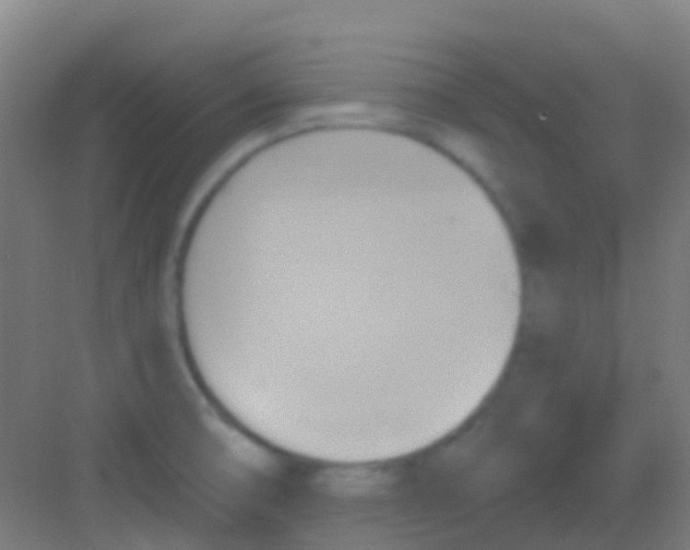 X0000081301474200702082032