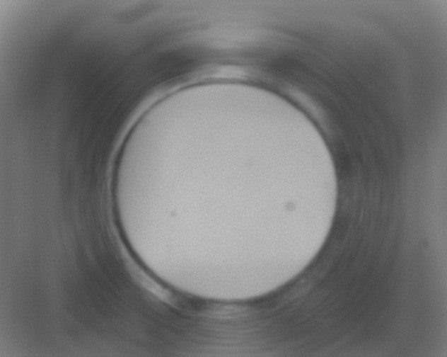 X0000081301475200702082032