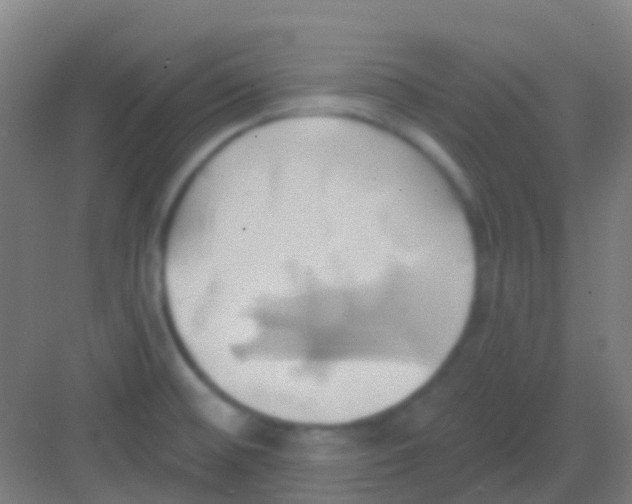 X0000081301476200702082032