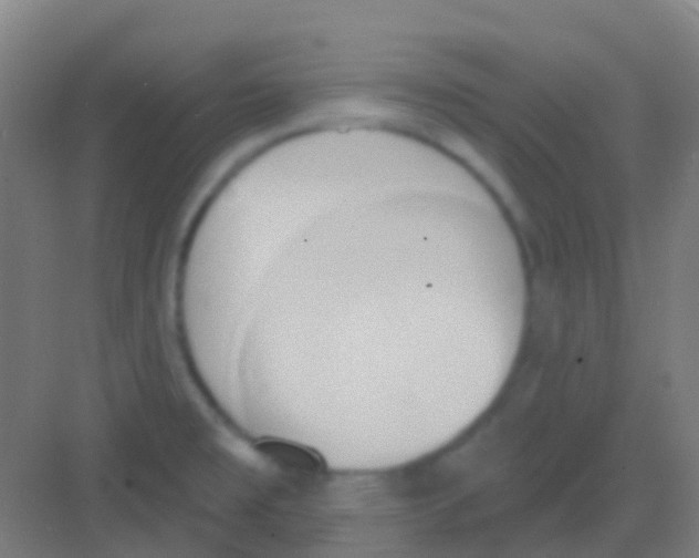 X0000081301477200702082032