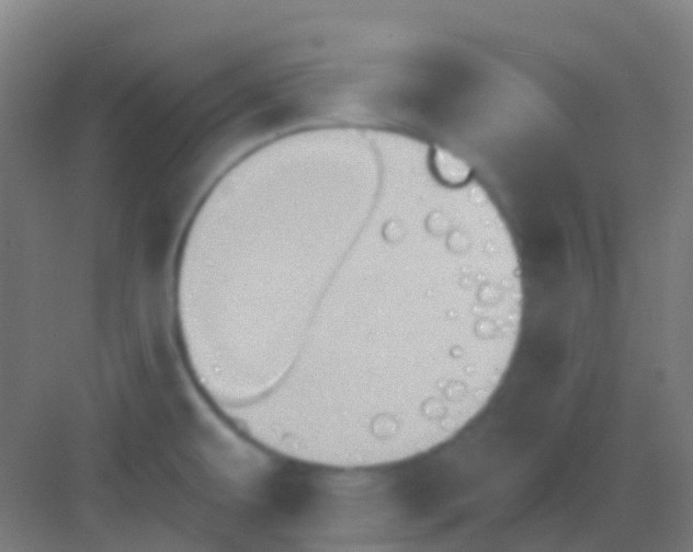 X0000081301479200702082031