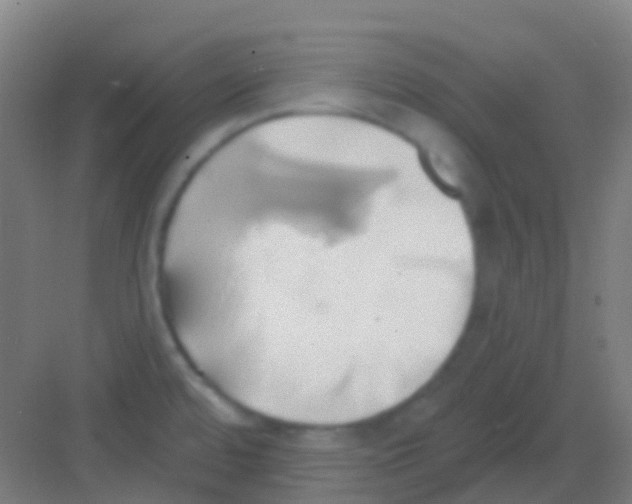 X0000081301480200702082031