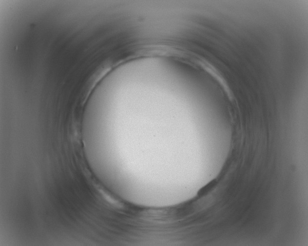 X0000081301481200702082031