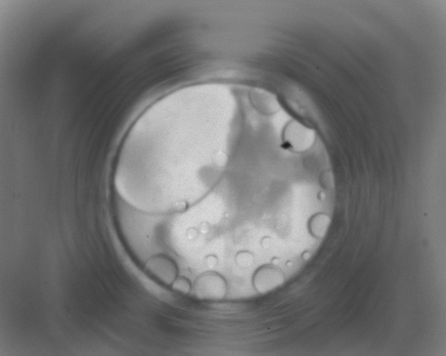 X0000081301483200702082031