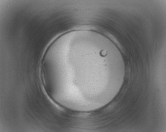 X0000081301484200702082031