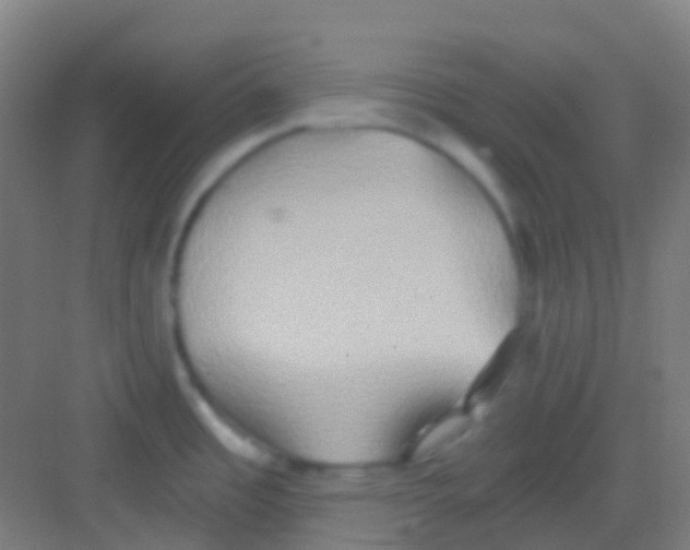 X0000081301485200702082031