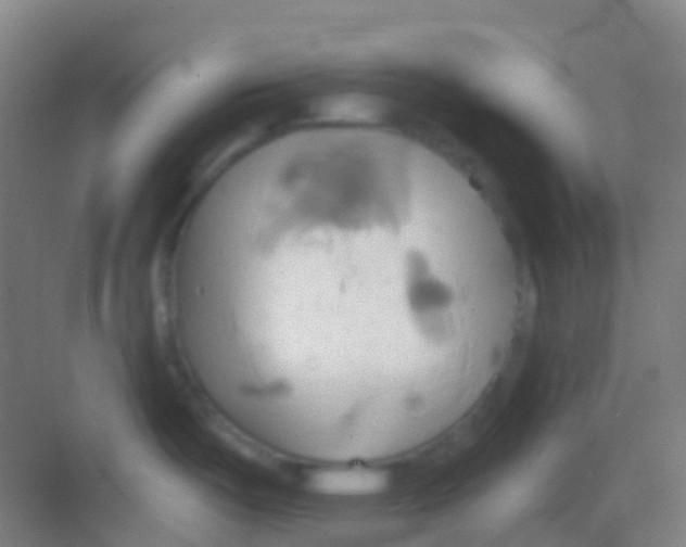 X0000081301487200702082031