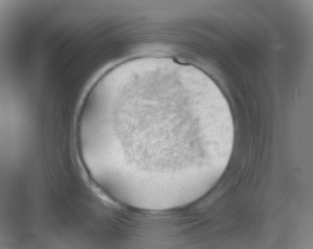 X0000081301488200702082031