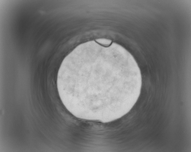 X0000081301489200702082031