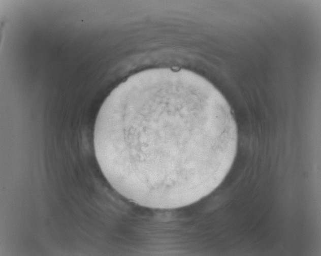 X0000081301490200702082031