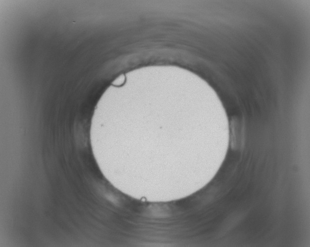 X0000081301491200702082031