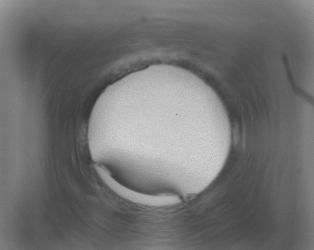 X0000081301492200702082031