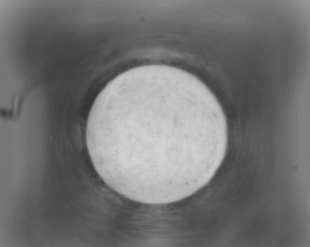 X0000081301493200702082031