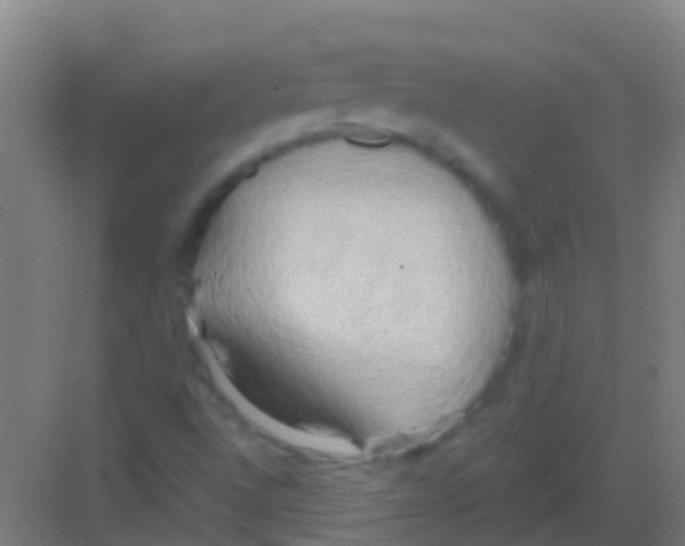 X0000081301496200702082031