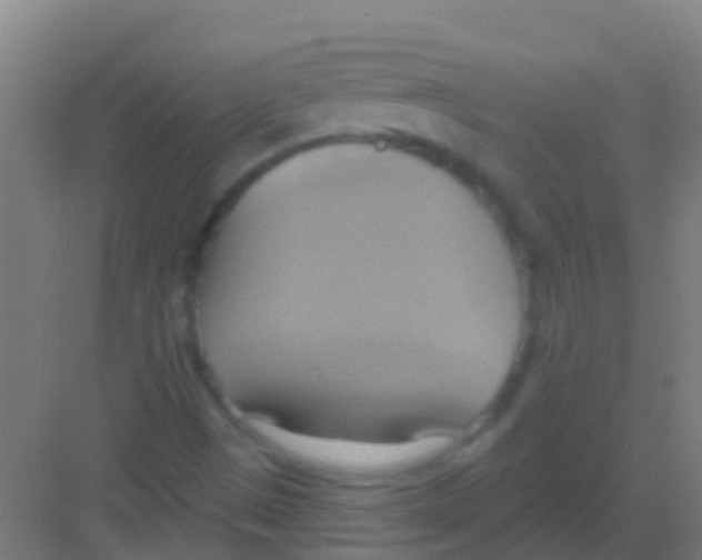 X0000081301497200702082031