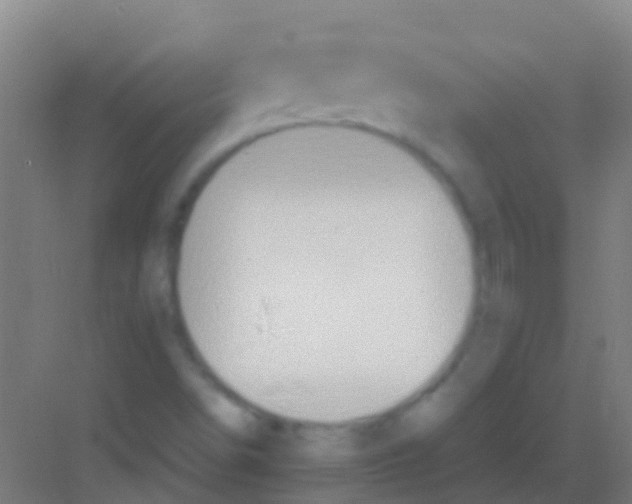 X0000081301498200702082031