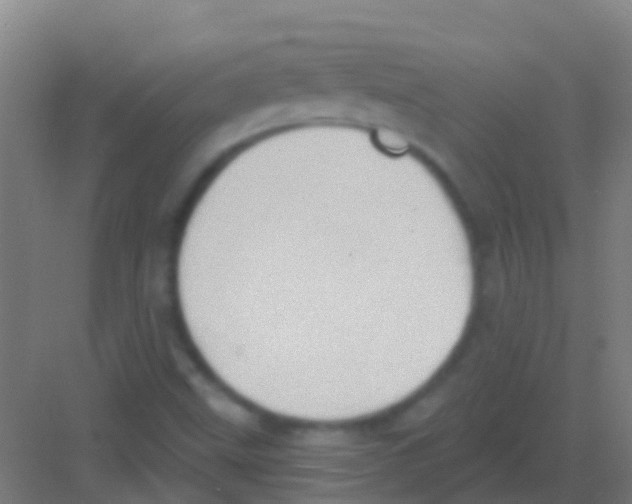 X0000081301499200702082031