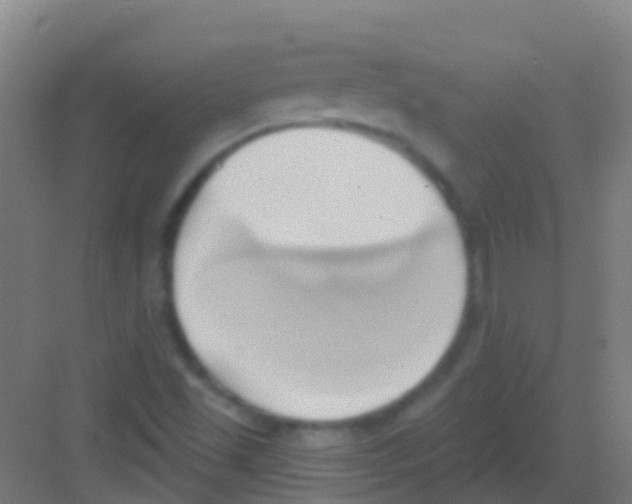 X0000081301501200702082031