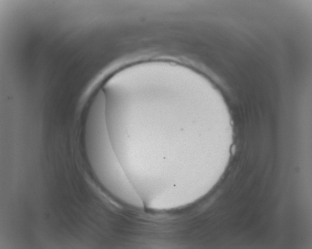 X0000081301502200702082031