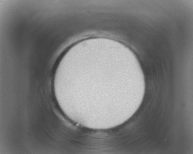 X0000081301503200702082031