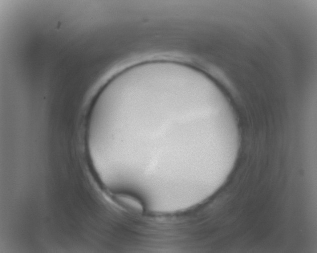 X0000081301504200702082031