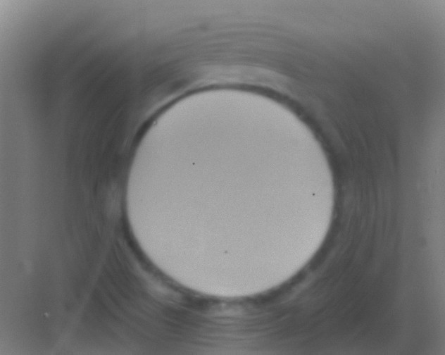 X0000081301505200702082031