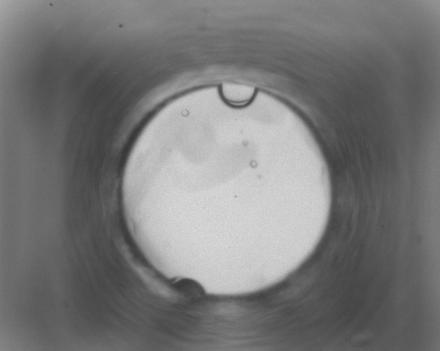 X0000081301507200702082031