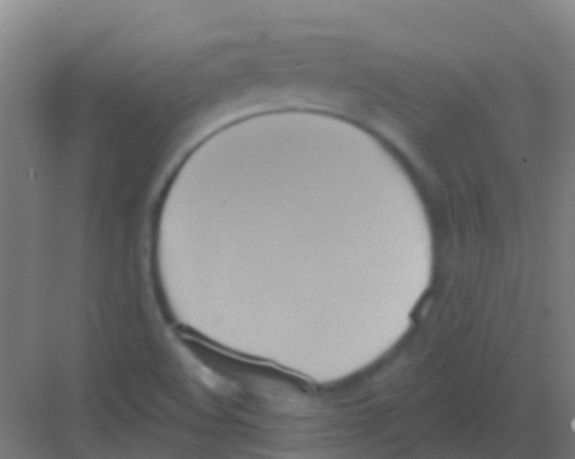 X0000081301508200702082031